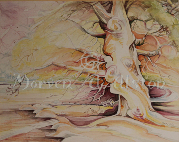 Plywood (600x600), Png Download