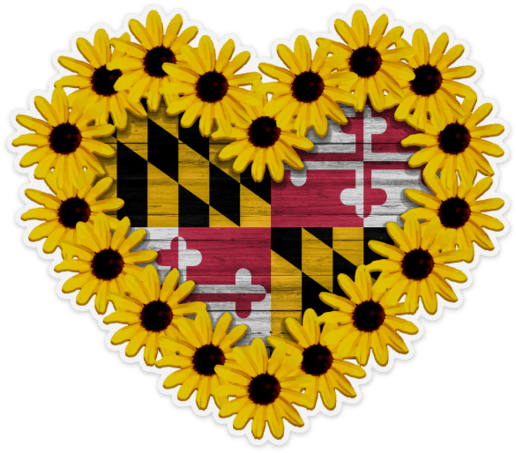 Black Eyed Susan Heart With Maryland Flag Inside - Maryland State Flag (530x468), Png Download