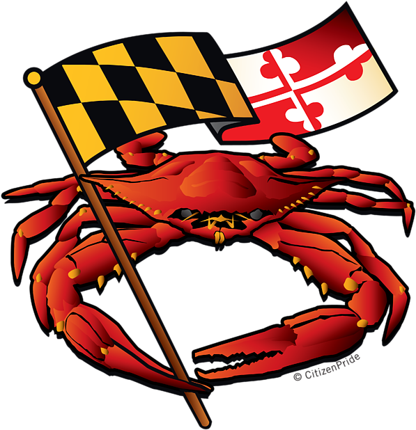 Bleed Area May Not Be Visible - Crab Maryland Blue Crab (600x627), Png Download