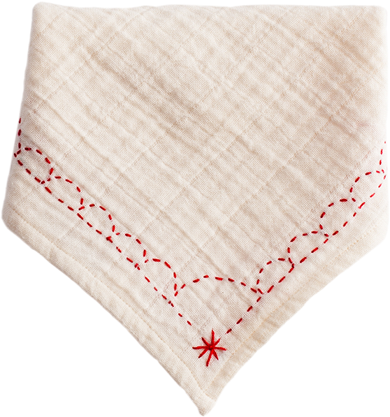 Cherry Red Organic Bandana Bib - Organic Bandana Bib (800x800), Png Download