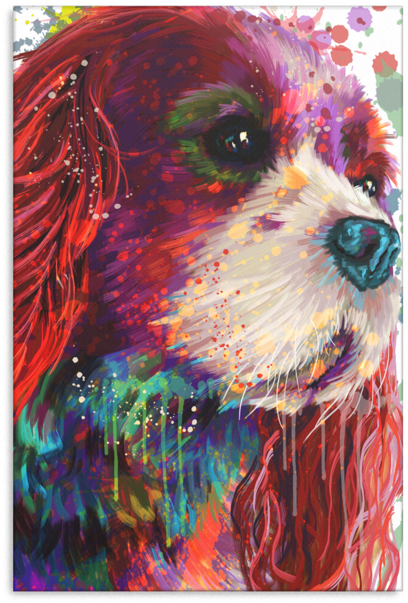 Cocker Spanier Canvas Wrap 1603-4 - Shih Tzu (900x900), Png Download