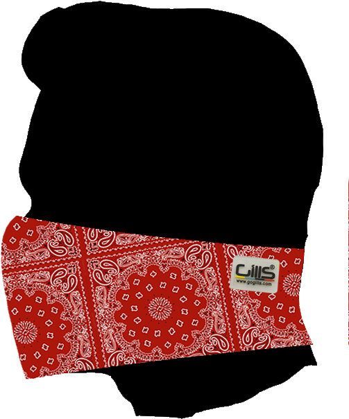 Skin - Red Bandana - Hav-a-hank Bandana 20" X 21" Maroon W/ Black/white (551x664), Png Download