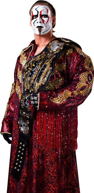 Sting - Sting Tna World Heavyweight Champion (320x657), Png Download