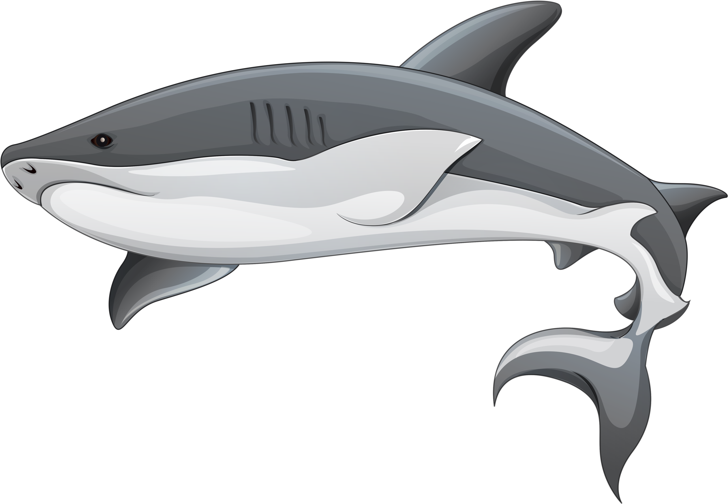 Shark Clip Art Sealife Pinterest And Images - Shark Clipart Transparent Background (2560x1805), Png Download