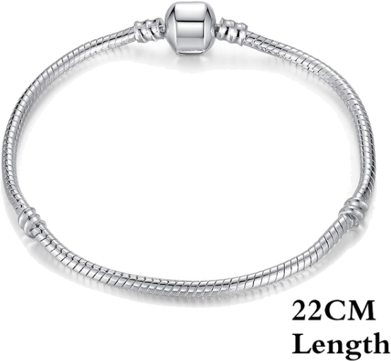 Pandora Compatible Silver Plated Snake Chain - Diy European 925 Silver Women Fashion Snake Chain Bracelet (600x600), Png Download