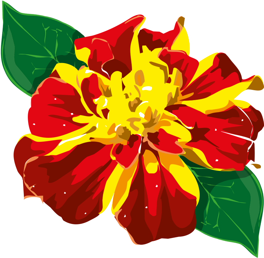 Flor Png - Flor Da Amazonia Png (962x886), Png Download