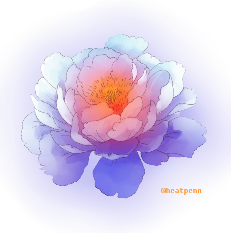 Common Peony (789x803), Png Download