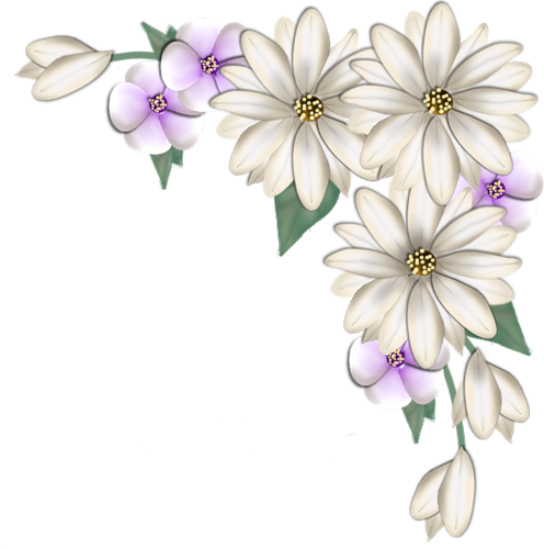 Flowers Png 0 81bcd A8b L Flor Pinterest - Daisy Flower Corner Border (496x500), Png Download