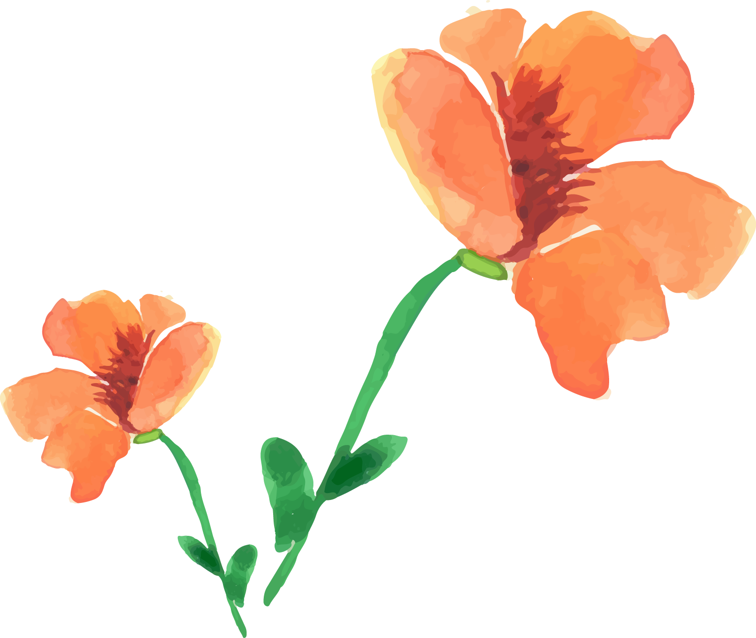 Watercolor Painting Flower Painted Floral Decoration - Watercolor Painting (1539x1299), Png Download