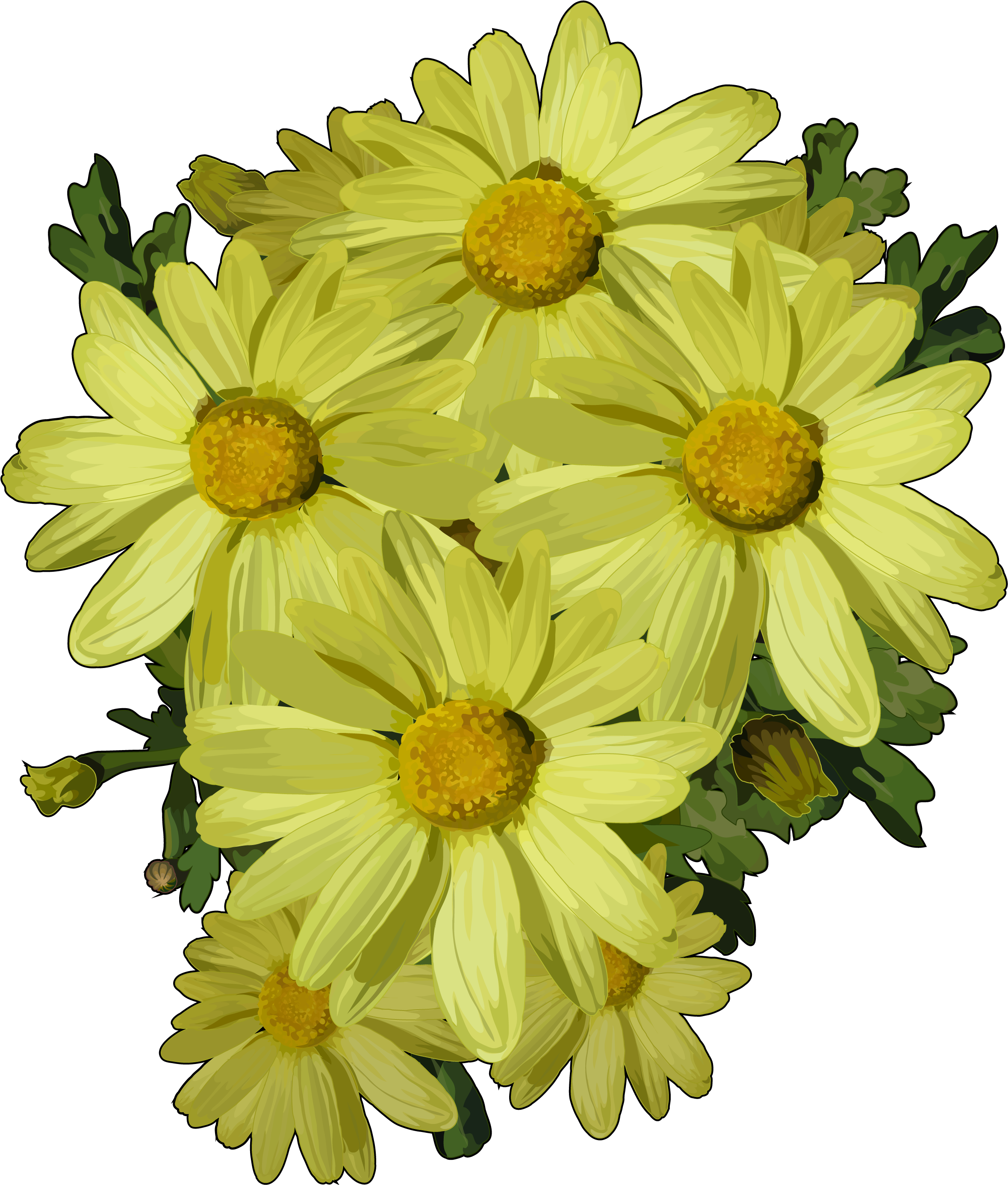 Margaritas De Flores Png (2480x3508), Png Download