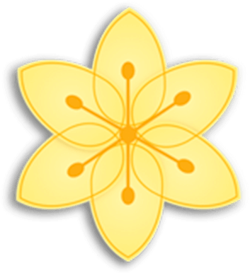 Flor (1920x497), Png Download