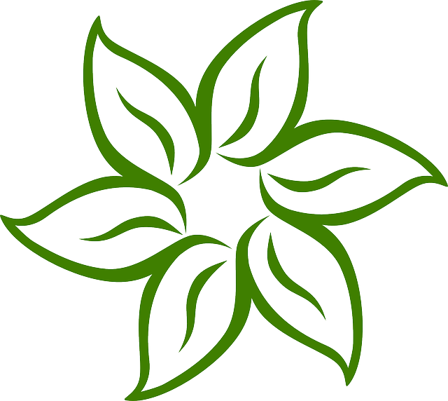 Flor3 - Flower Vector Green Png (640x572), Png Download