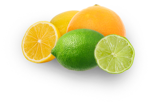 For Our Margaritas - Produtos De Limpeza Caseiro (494x337), Png Download