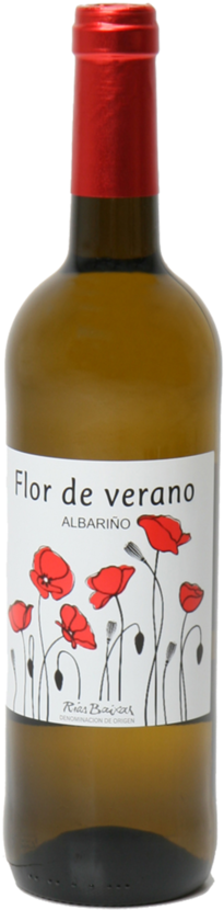 Colchester Royal Grammar School And The Great War (432x900), Png Download