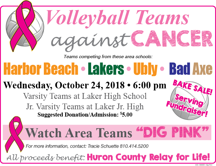 Dig Pink Event - Extravagant Love: Stories Of Hope And Inspiration During (744x571), Png Download