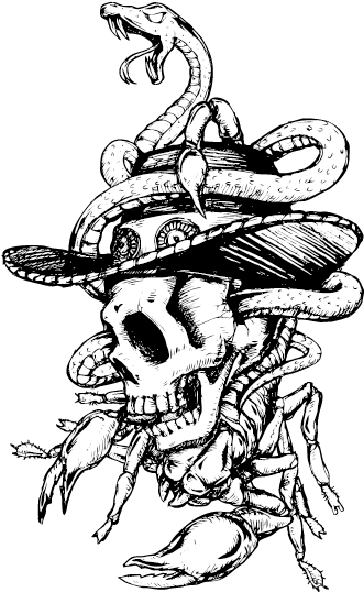 Clip Library Library Snakes Drawing Steampunk - Snake In Skull Transparent (596x843), Png Download