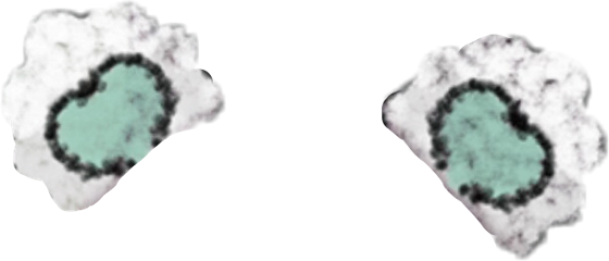 Freetoedit - Snow (560x240), Png Download