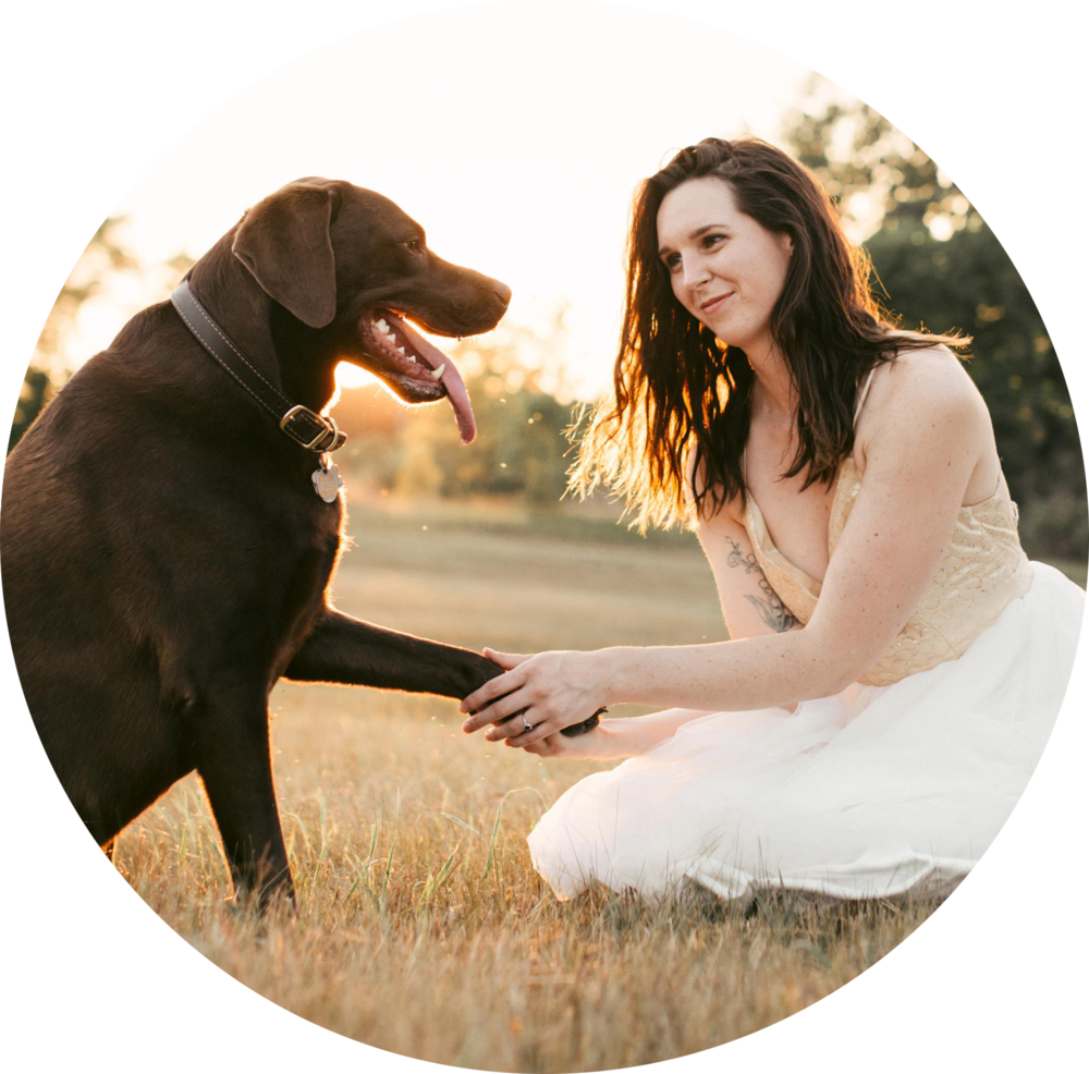 Dog Catches Something (1000x986), Png Download