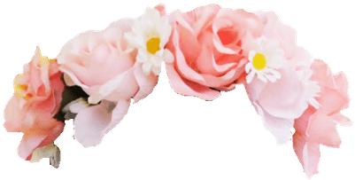Rose Flower Crown Snapchat Filter Transpa Png Stickpng - Snapchat Filters With No Background (400x400), Png Download