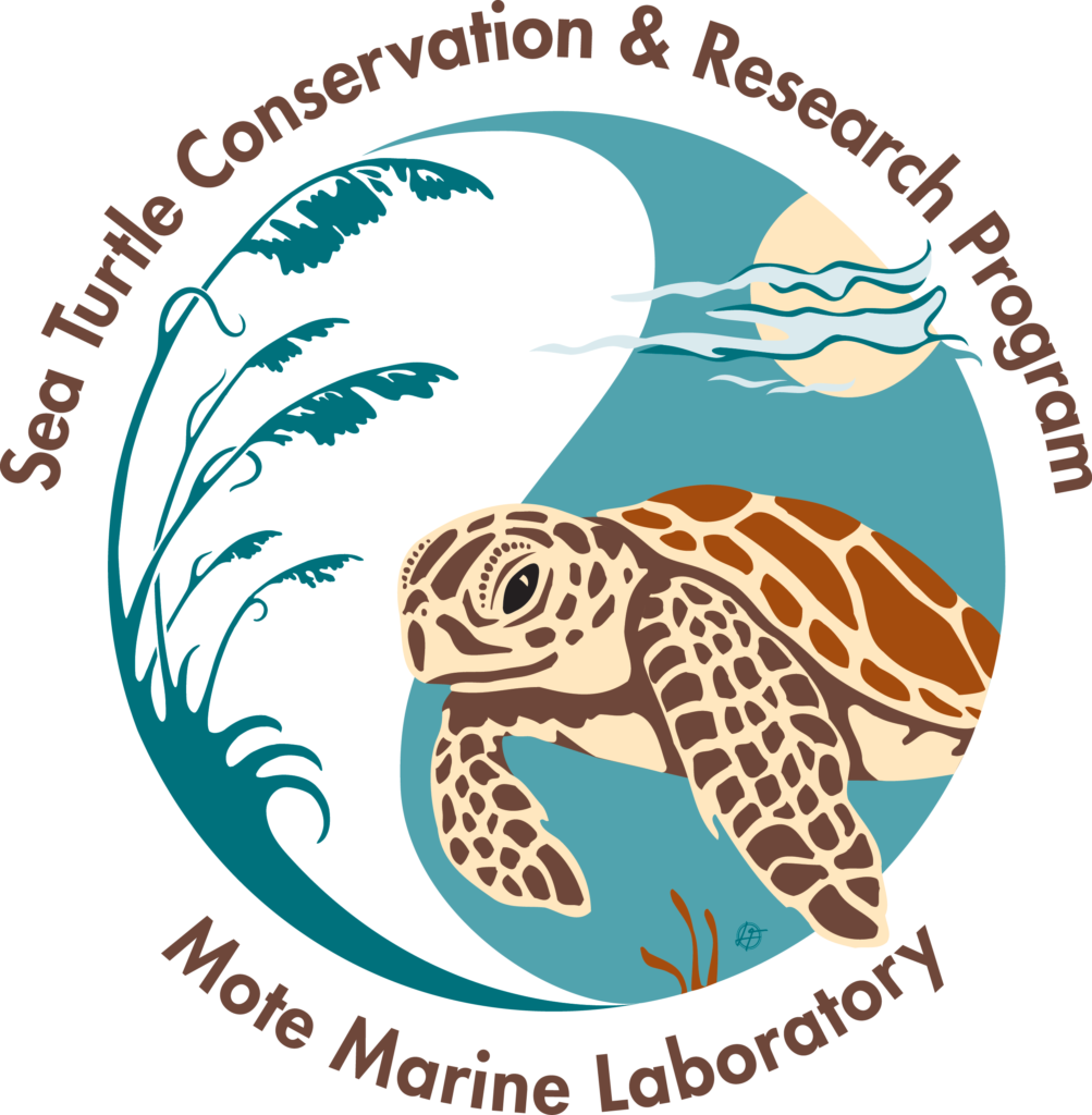 Sea Turtle Clipart Track - Save Turtles Logo Round Car Magnet (1003x1024), Png Download