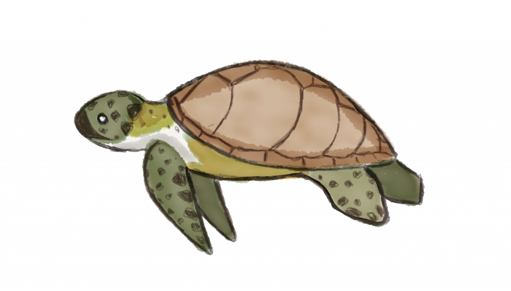 Miami Beach (1024x583), Png Download