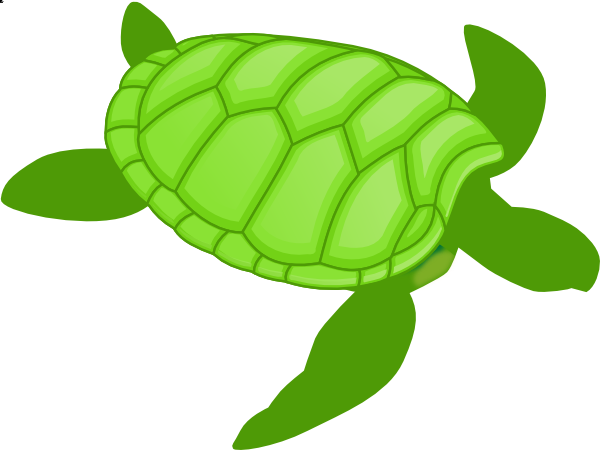 Sea Turtle Clipart Small Turtle - Objects That Is Green Color (600x450), Png Download