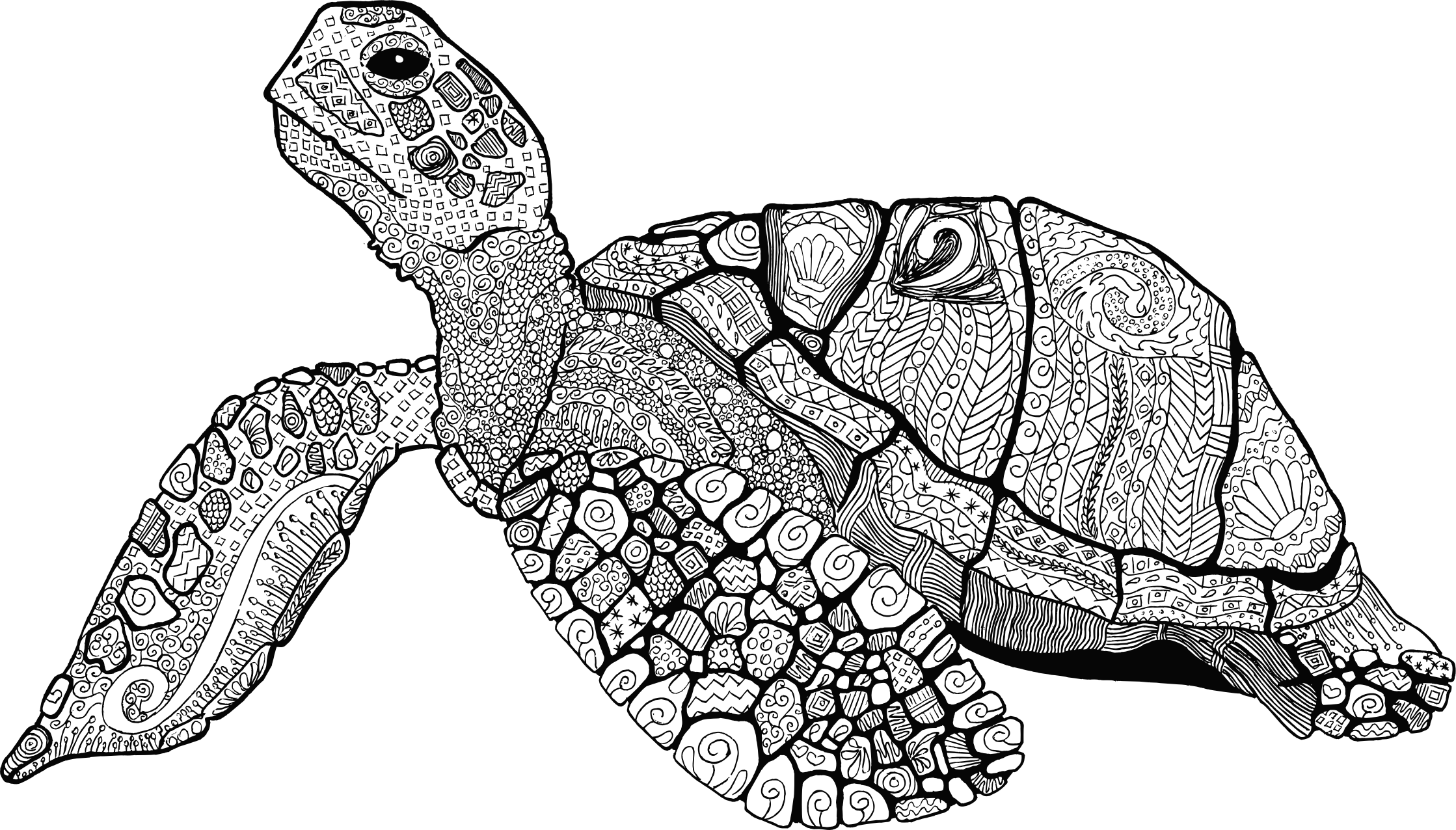 Big Image - Adult Coloring Turtle Printable (2238x1276), Png Download