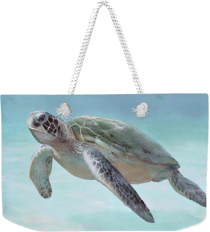 Home Decor & Accessories - Loggerhead Sea Turtle (724x804), Png Download