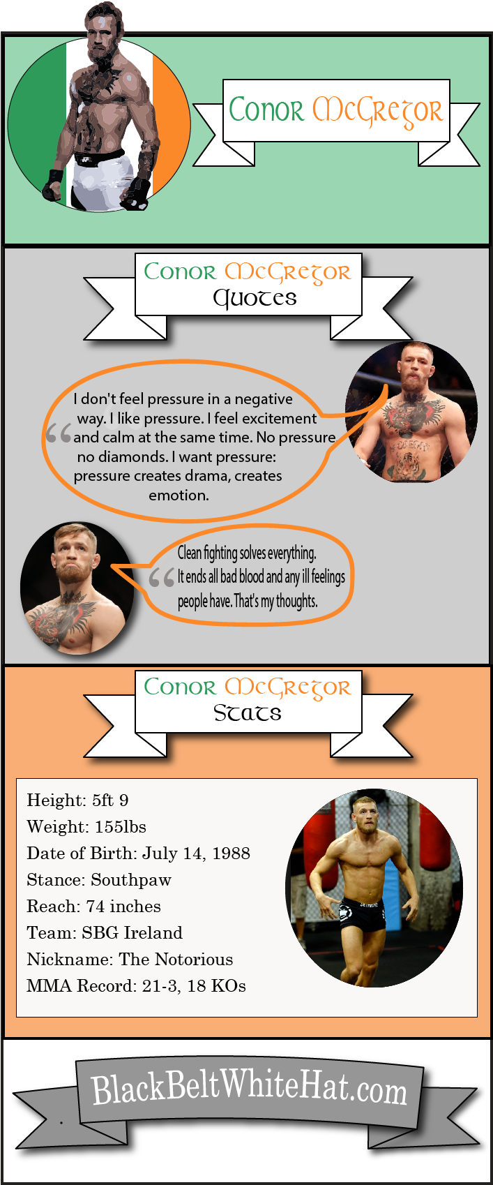 Conor Mcgregor Infographic - Lingerie (745x1698), Png Download