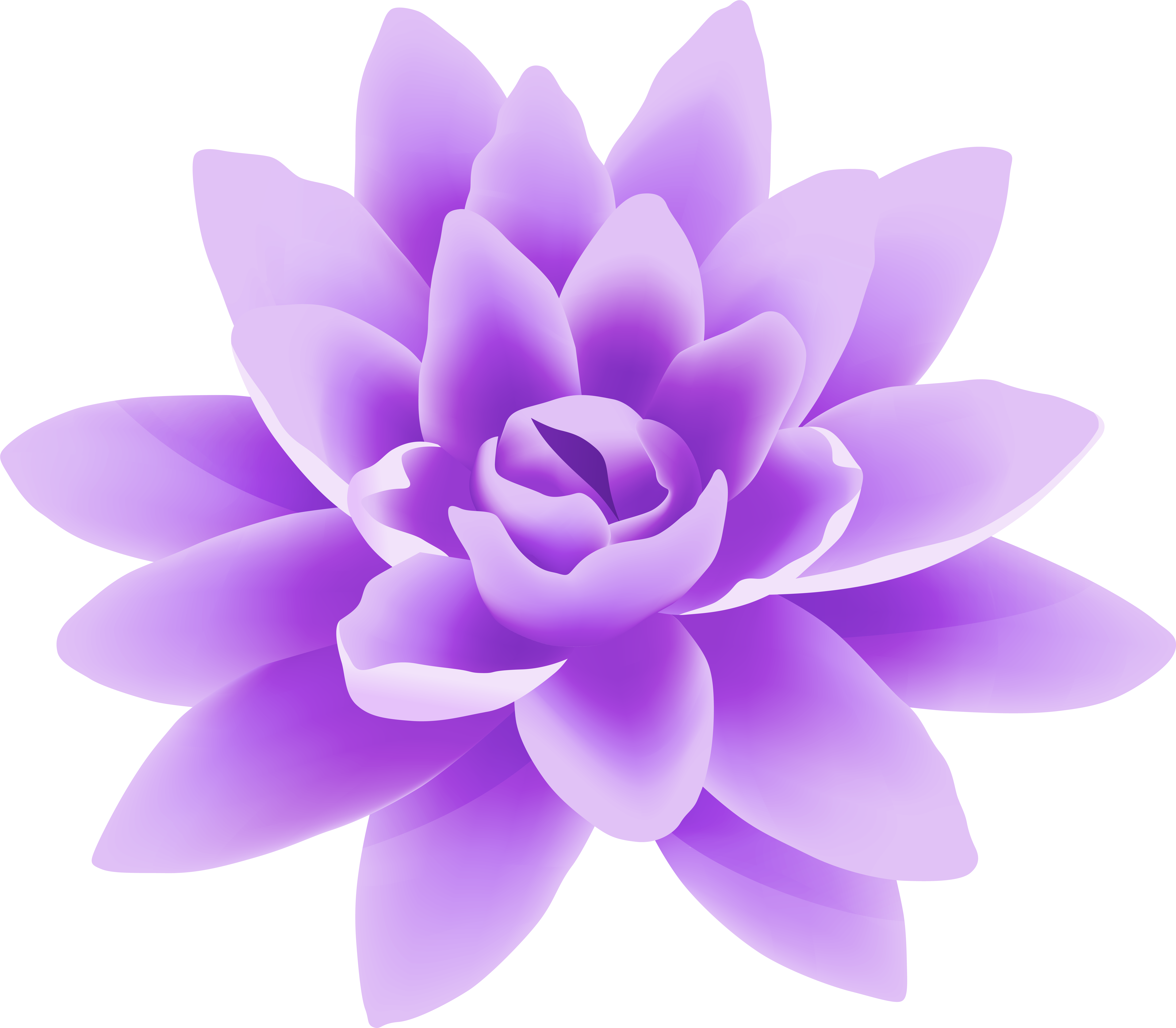 Purple Flower Png (8000x7006), Png Download