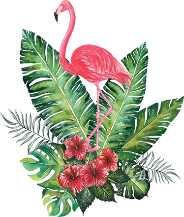 Tropical Png - Flamingo Tropical Png (374x440), Png Download