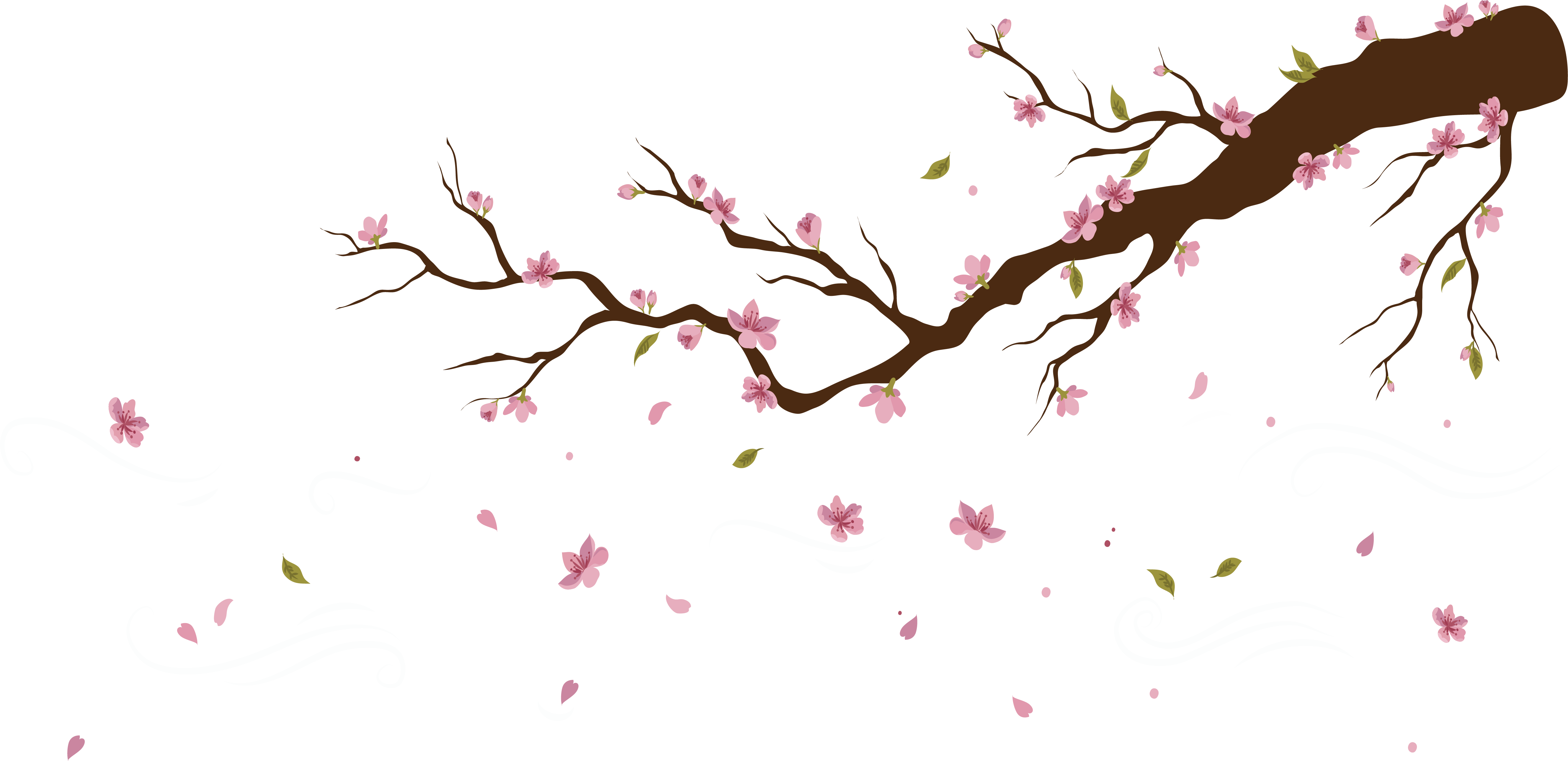 Petals Of Serenity: The Tranquilizing Beauty Of The Japanese Bonsai Cherry Blossom