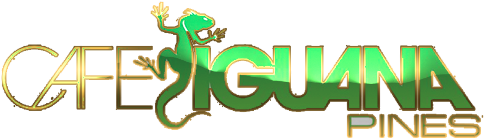 George Dukes B-day Hosted By Dj Khaled, Birdman, Jaquees - Cafe Iguana (1024x343), Png Download