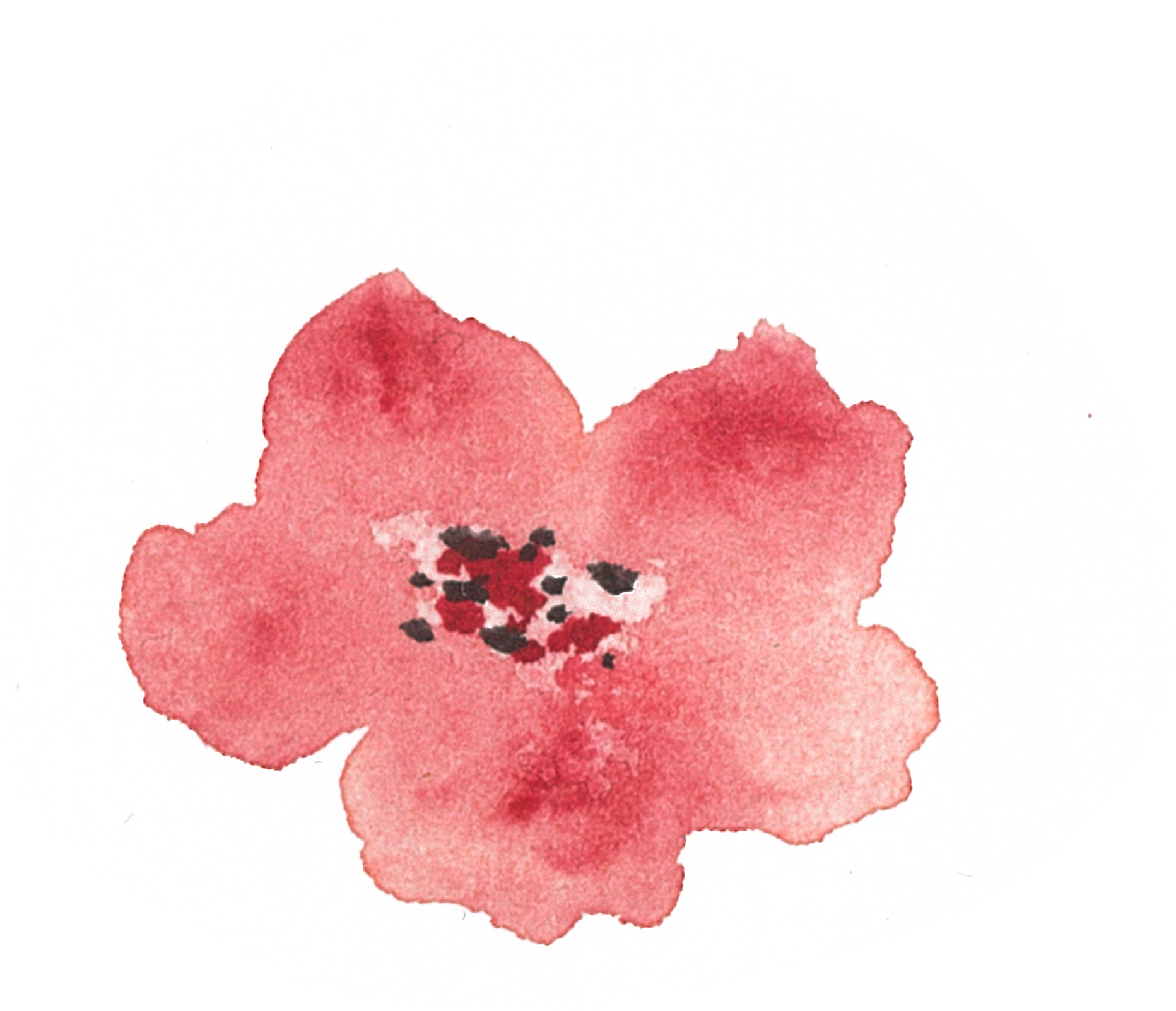 Of A Friends Wedding In The Summer Of - Artificial Flower (1920x1796), Png Download
