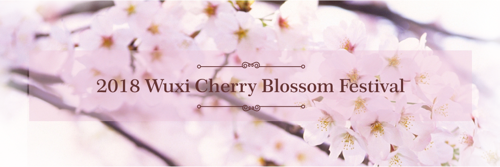 Cherry Blossoms Add To Tranquil Beauty Of Wuxi - Hübsche Rosa Liebevogelservietten Papierserviette (980x328), Png Download
