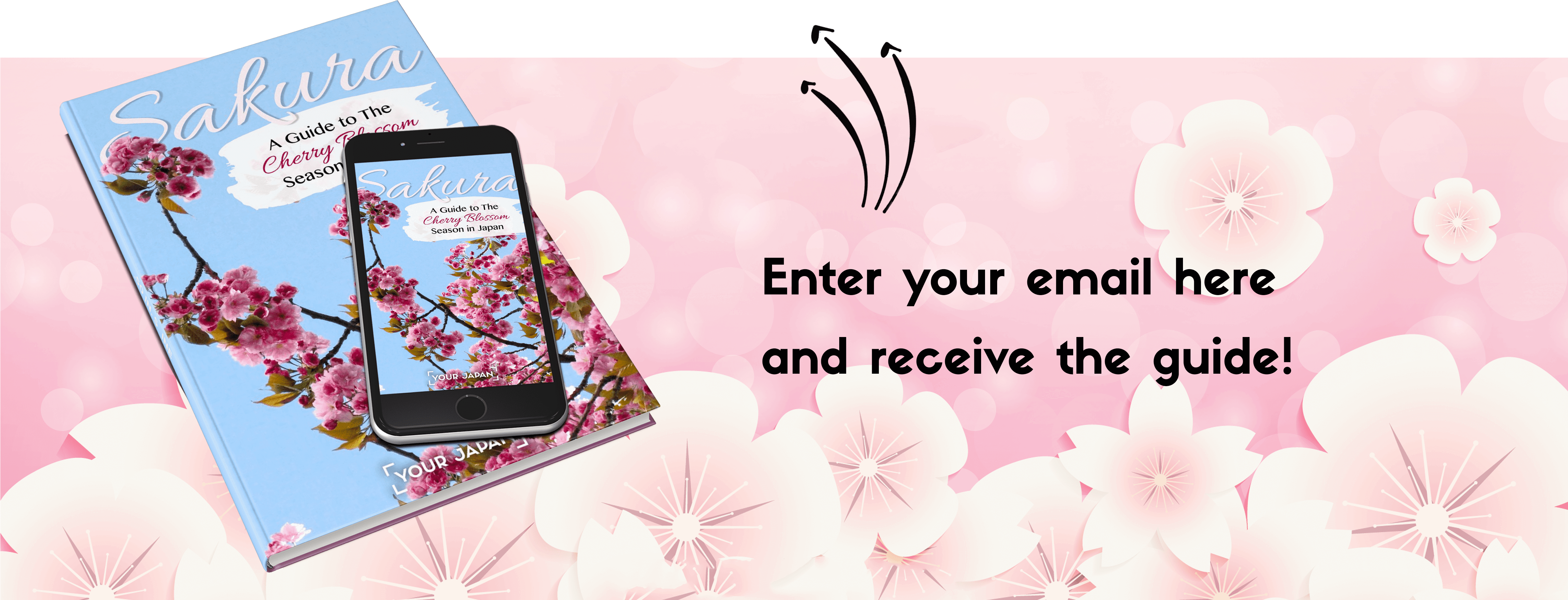 Thank You For Downloading The Cherry Blossom Guide - Gadget (4784x1867), Png Download