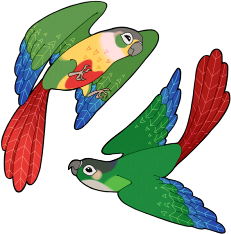 Some Little Green Cheeks They're Also Available As - Conure Clip Art (500x500), Png Download