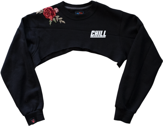 Crop Top (560x600), Png Download