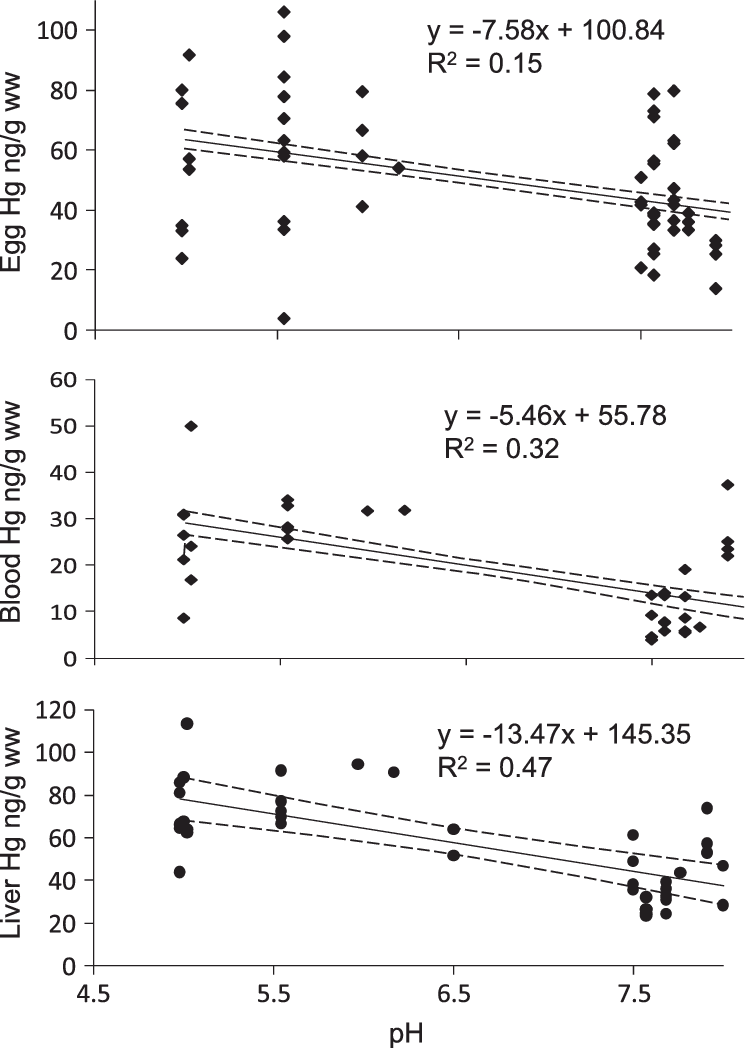 Scatter Plot And Regression Of Mercury Concentrations - Diagram (745x1048), Png Download