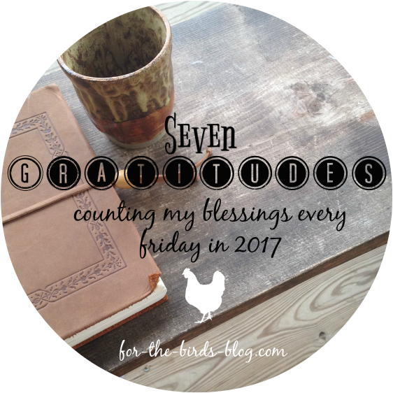 7grat1 - Pigeons And Doves (600x600), Png Download