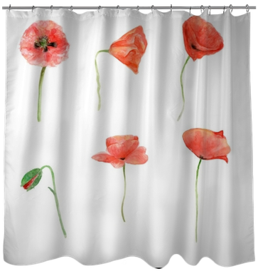Red Poppy, Watercolor Flower Collection, Floral Hand - Drawing (400x400), Png Download
