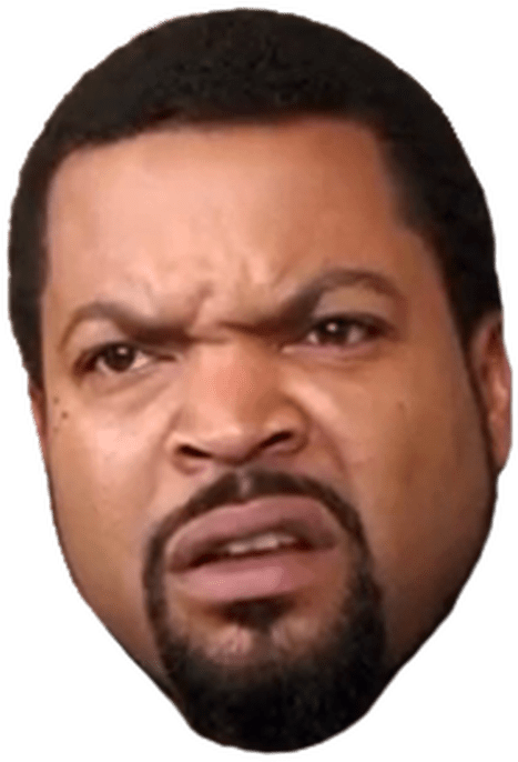 Ice Cube Face Png - Transparent Ice Cube Rapper (480x701), Png Download