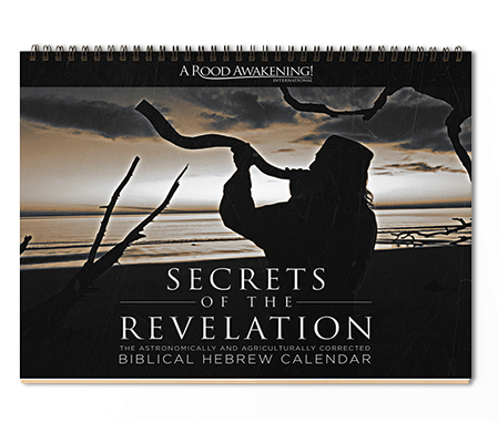 $19 - - Biblical Hebrew (450x450), Png Download