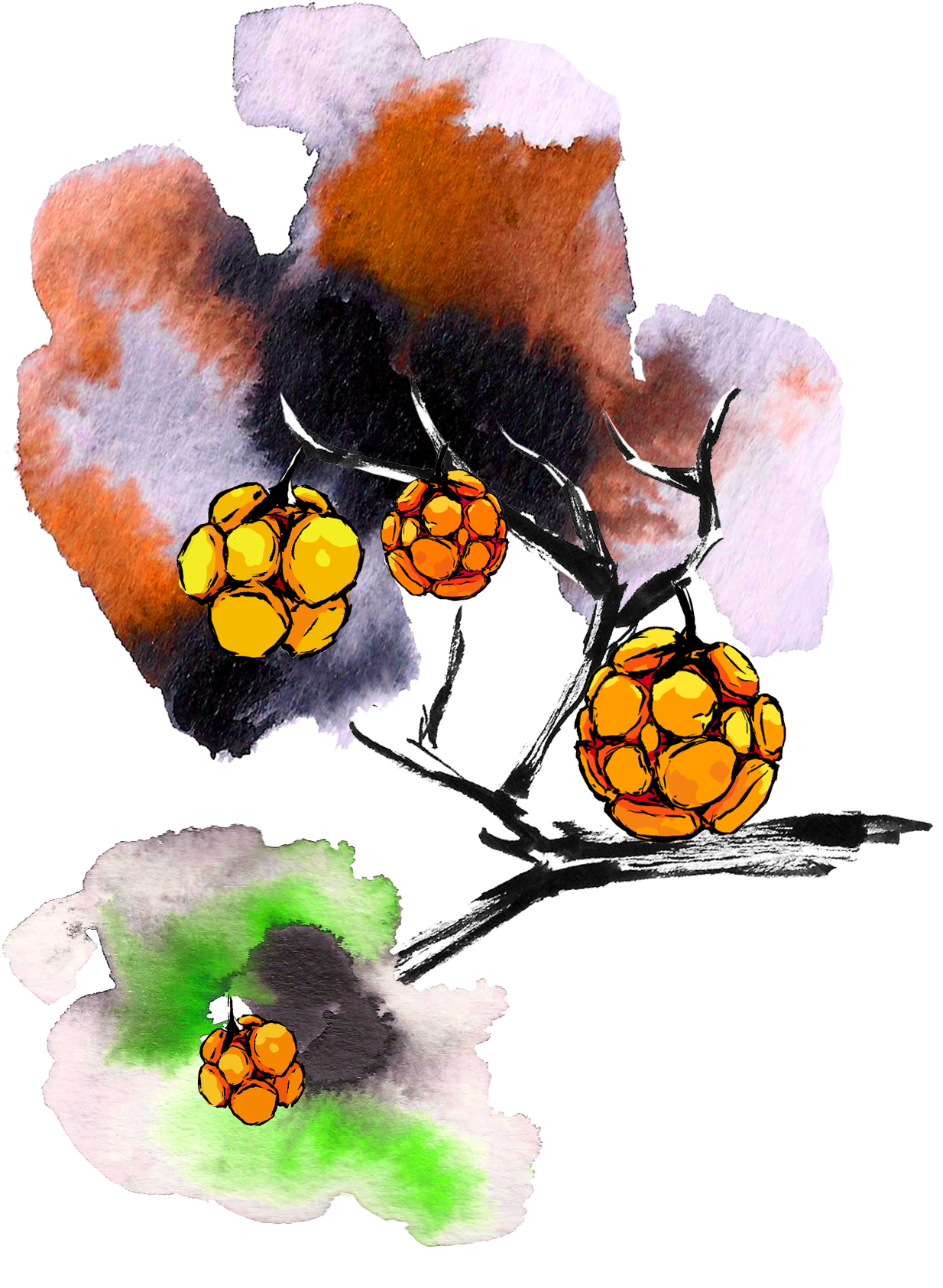 Brancheoiseaux1 Branchefruits1 Titre 4 Branchevide1 - Child Art (1427x1739), Png Download