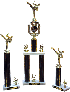 Karate Tournament Trophies From Schott Trophy, San - Martial Arts Tournament Trophy (420x320), Png Download