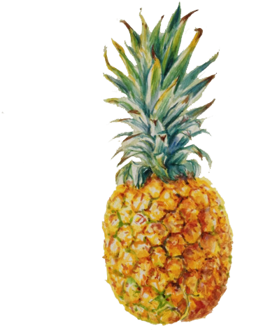 Transparent Pineapple - Pineapple Png (500x488), Png Download
