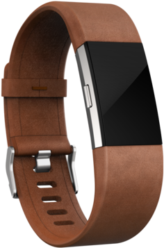 Fitbit Charge Leather Band // I Wonder If I Can Upgrade - Fitbit Charge 2 Leather Band (540x460), Png Download