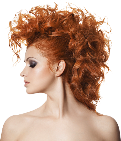 Start Your Career Today - Curly Mohawk Long Hair (401x466), Png Download