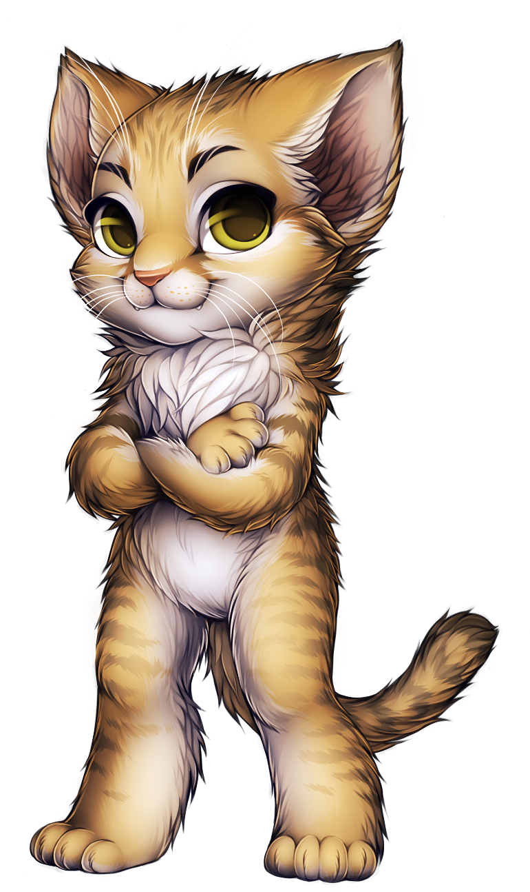 Ayseyvx - Maine Coon Siamese Cat (850x1338), Png Download