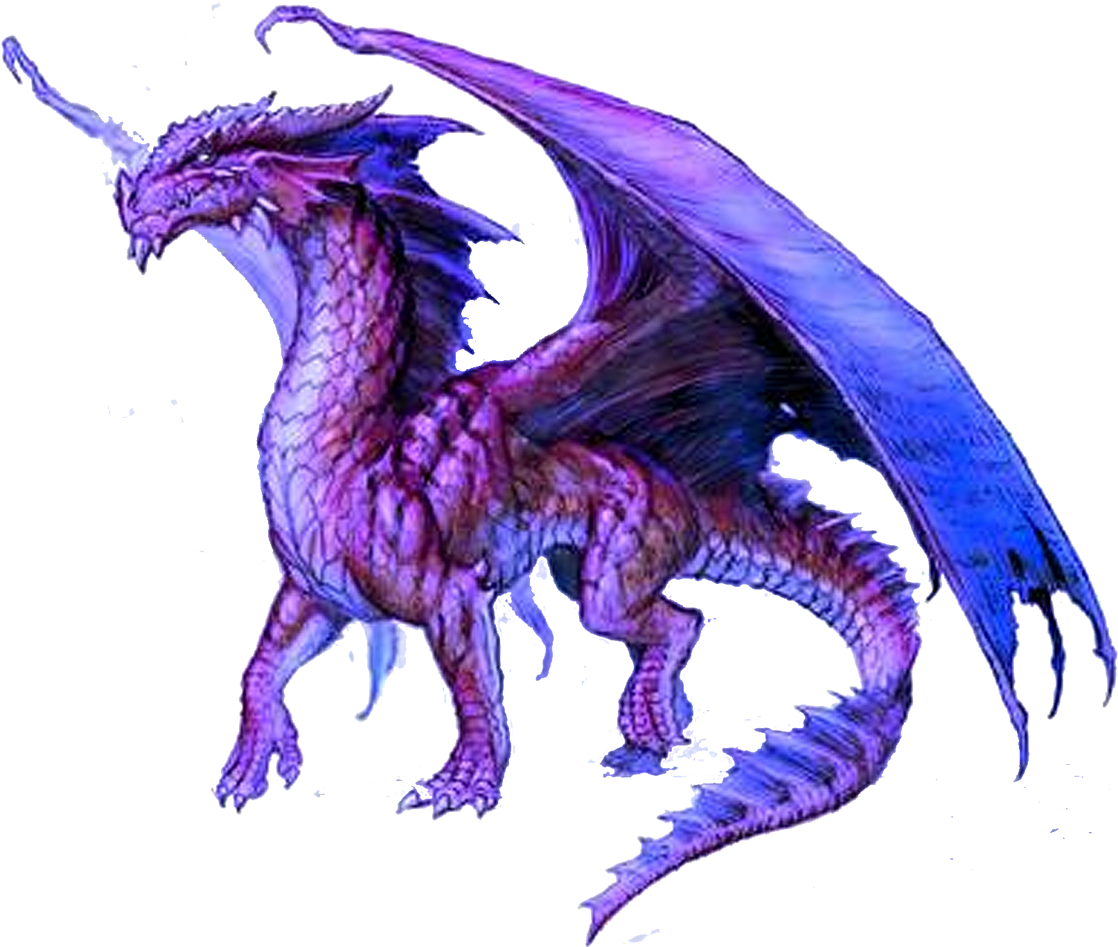 Dragon Png - Cafepress Purple Dragon Tile Coaster (1667x1417), Png Download